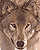 lane_wolf